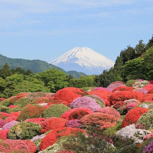 神奈川/小田急 山のホテル/ペア1泊2食付