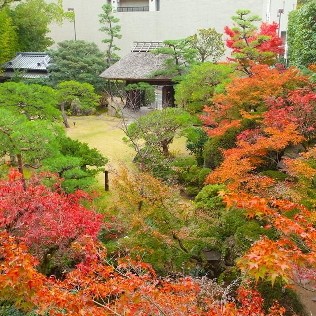 愛媛/ふなや/ペア日帰り入浴≪昼食付≫