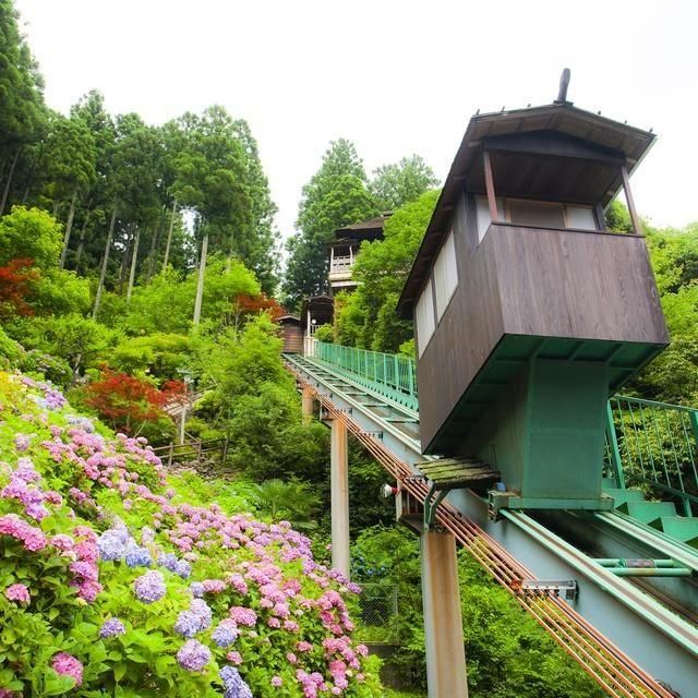 徳島/新祖谷温泉ホテルかずら橋/ペア1泊2食付