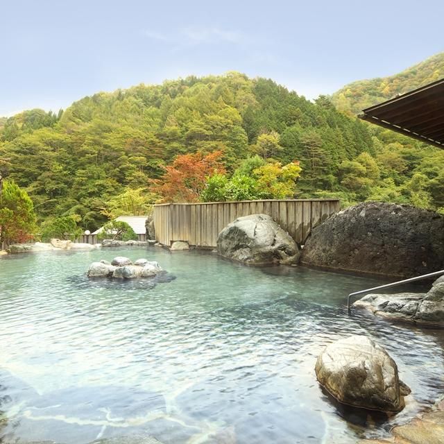 岐阜/穂高荘山のホテル/ペア1泊2食付
