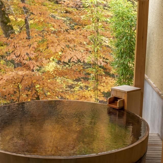 栃木/塩の湯温泉 蓮月(共立リゾート)/ペア1泊2食付