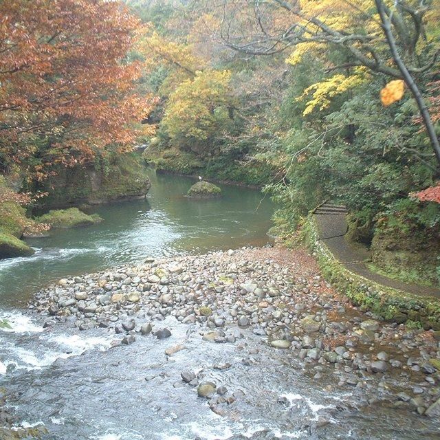 石川/白鷺湯たわらや/ペア1泊2食付