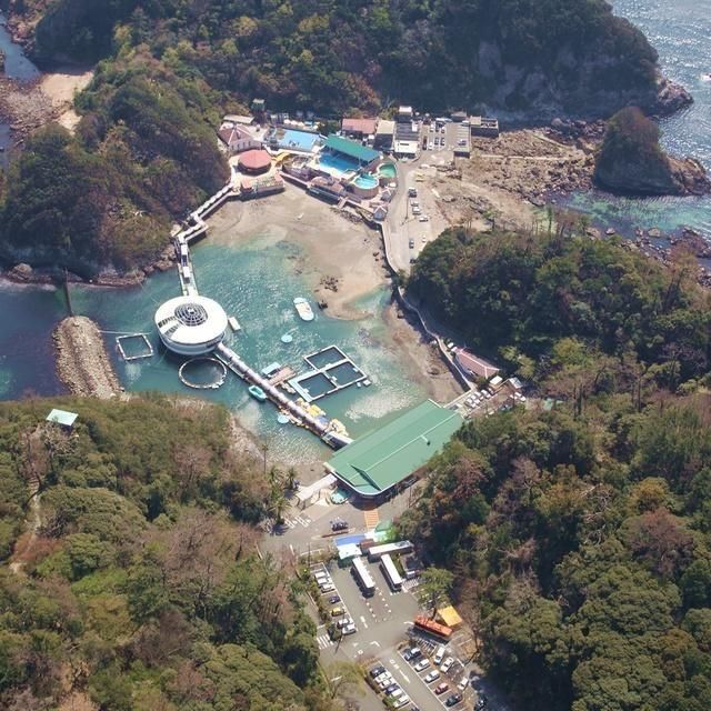 静岡/下田海中水族館/2名様 水族館入場券