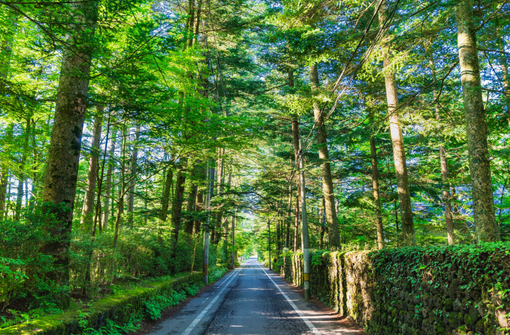 軽井沢への旅行
