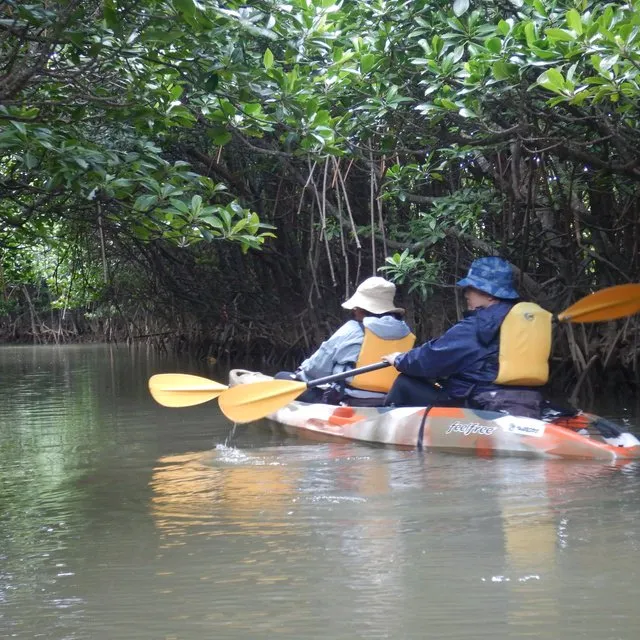 沖縄/やんばる.クラブ/2名様 マングローブカヤック体験