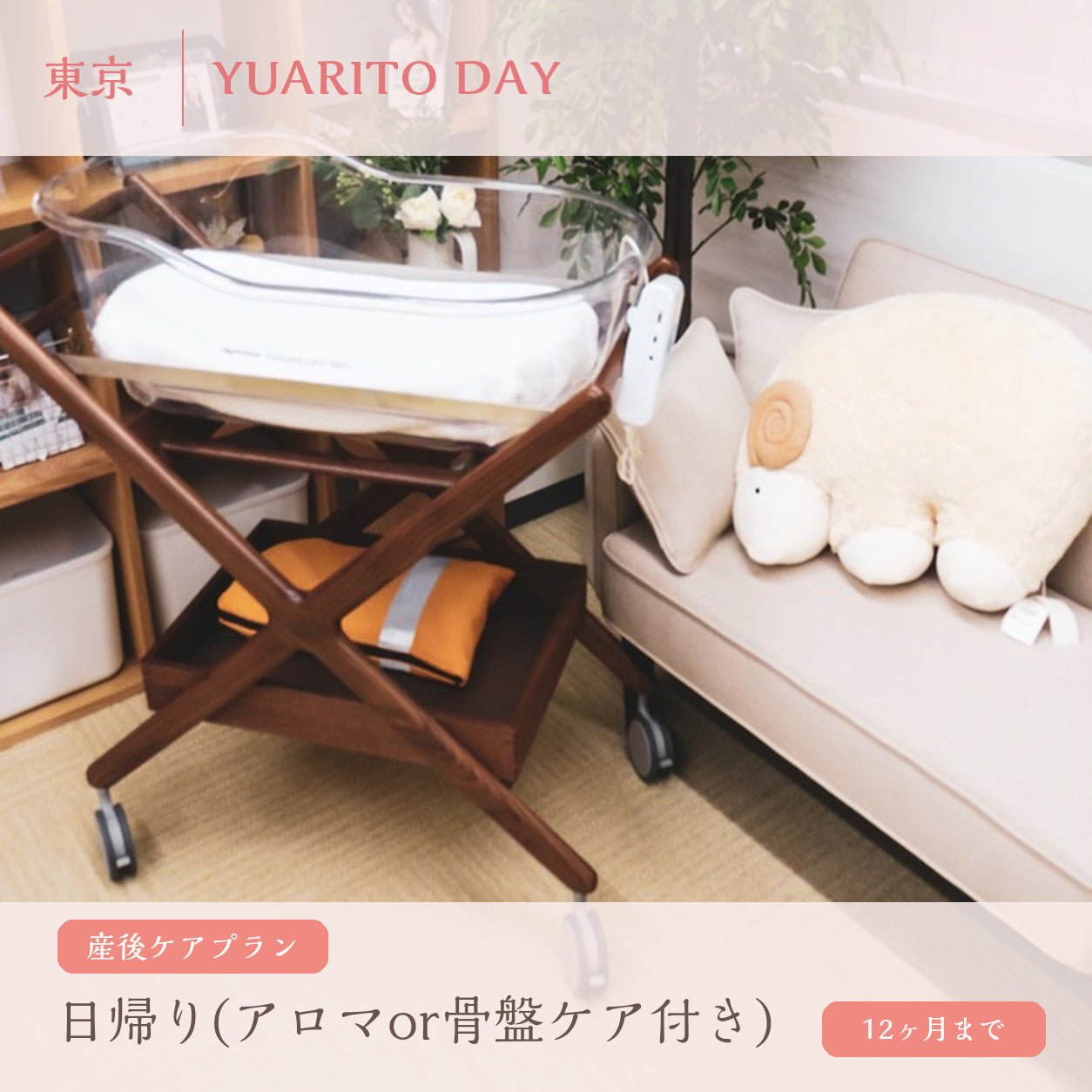 Become Mommy Bプラン【8月中旬以降販売開始】