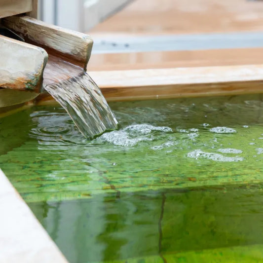 千葉/ホテル一宮シーサイドオーツカ/2名様 日帰り入浴≪昼食＋コーヒー1杯付≫