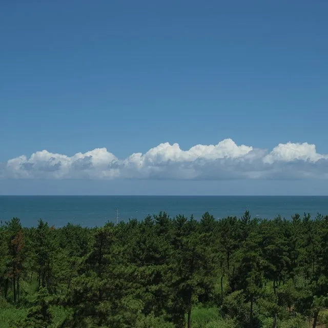 千葉/ホテル一宮シーサイドオーツカ/2名様 日帰り入浴≪昼食＋コーヒー1杯付≫