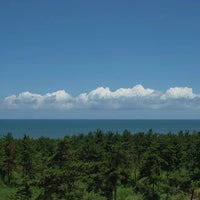 千葉/ホテル一宮シーサイドオーツカ/2名様 日帰り入浴≪昼食＋コーヒー1杯付≫