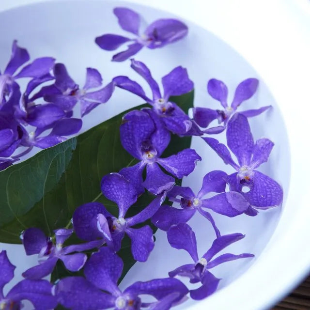 福岡/Hilltop Spa(HILLTOP RESORT FUKUOKA)/1名様 エステプラン ボディマッサージ&フェイシャルトリートメント100分＋天然温水大浴場入浴付