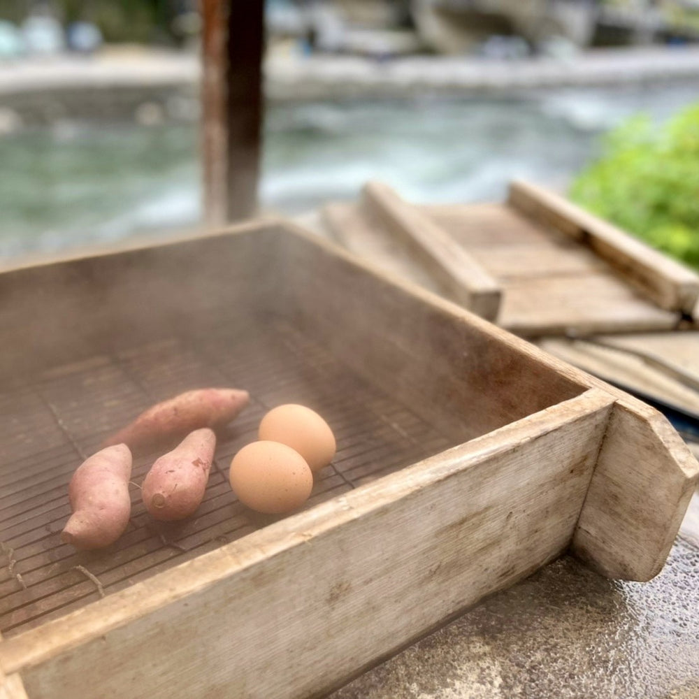熊本/杖立渓流の宿大自然/ペア1泊2食付