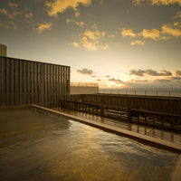 愛知/ホテルたつき/ペア日帰り入浴≪灯台見学+昼食付≫