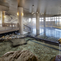 愛知/ホテルたつき/ペア日帰り入浴≪灯台見学+昼食付≫