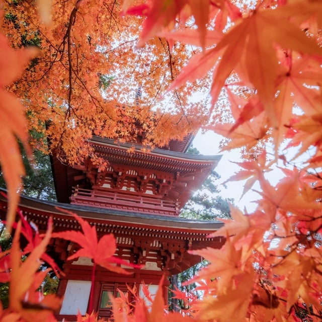 静岡/医王山薬王院油山寺/ペア滝行と写経体験