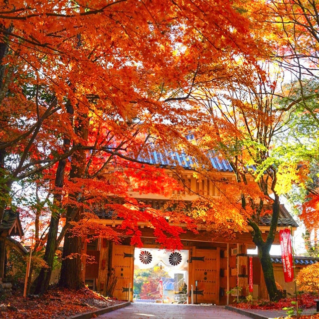 静岡/医王山薬王院油山寺/ペア滝行と写経体験
