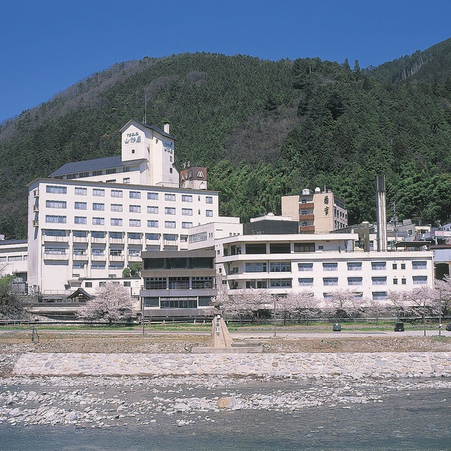 岐阜/下呂温泉山形屋/ペア日帰り入浴≪貸切風呂１回利用付≫