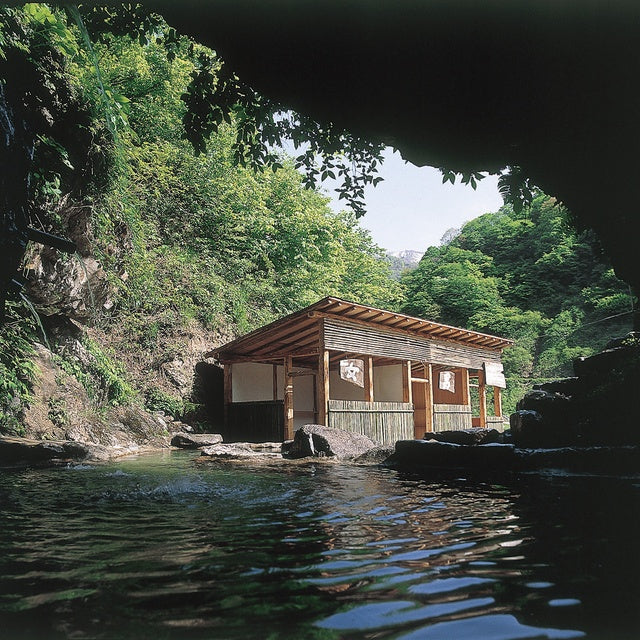 富山/【木～日曜日限定】ホテルおがわ/ペア日帰り入浴≪昼食付≫