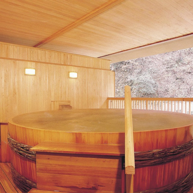 富山/【木～日曜日限定】ホテルおがわ/ペア日帰り入浴≪昼食付≫