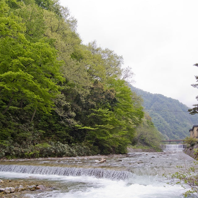 富山/【木～日曜日限定】ホテルおがわ/ペア日帰り入浴≪昼食付≫
