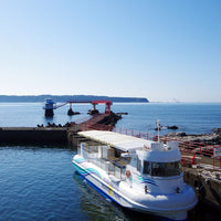 和歌山/串本海中公園センター/【予約不要】2名様水族館+海中展望塔+海中観光船＜ステラマリス＞プラン