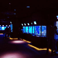 和歌山/串本海中公園センター/【予約不要】2名様水族館+海中展望塔+海中観光船＜ステラマリス＞プラン