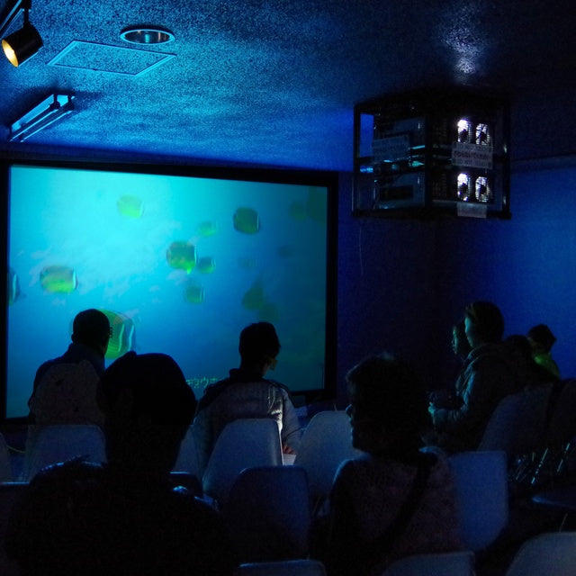 和歌山/串本海中公園センター/【予約不要】2名様水族館+海中展望塔+海中観光船＜ステラマリス＞プラン