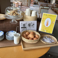 熊本/杖立渓流の宿大自然/ペア1泊2食付