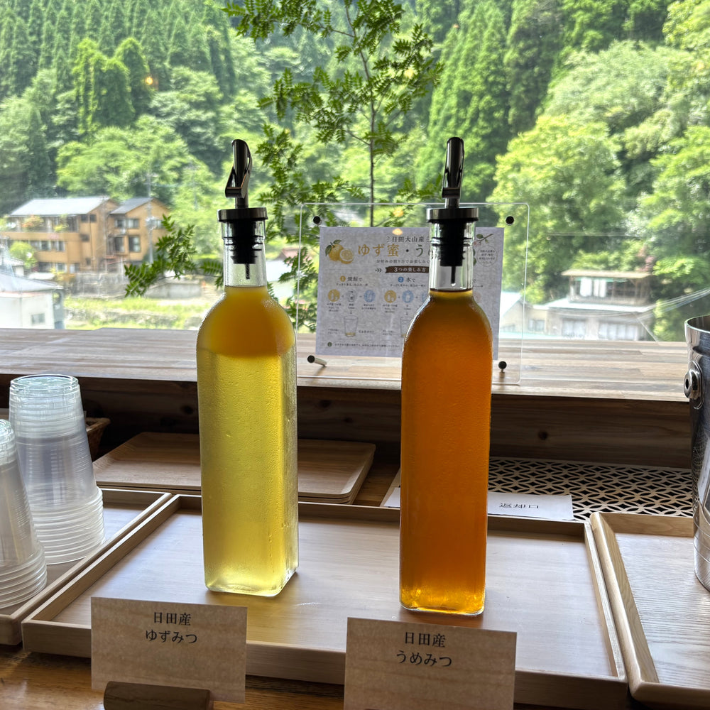 熊本/杖立渓流の宿大自然/ペア1泊2食付
