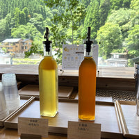 熊本/杖立渓流の宿大自然/ペア1泊2食付