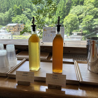 熊本/杖立渓流の宿大自然/ペア1泊2食付☆2027年6月30日までの利用限定！