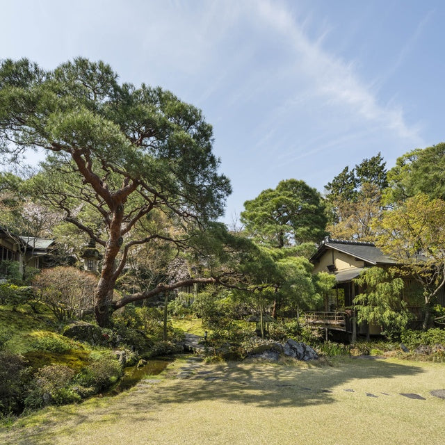 京都/南禅寺参道 菊水/2名様アフタヌーンティープラン