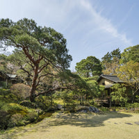 京都/南禅寺参道 菊水/2名様アフタヌーンティープラン