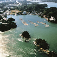 三重/伊勢神宮のお膝元 鳥羽 胡蝶蘭/ペア1泊2食付