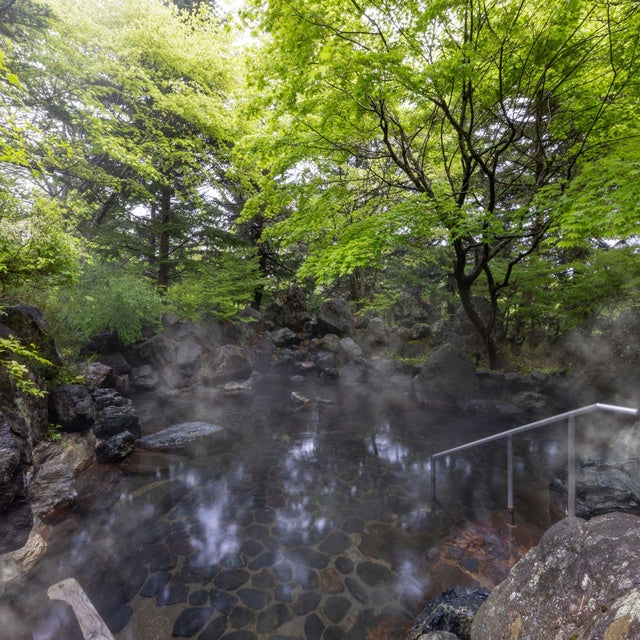 福島県/メルキュール裏磐梯リゾート＆スパ/ペア1泊2食付