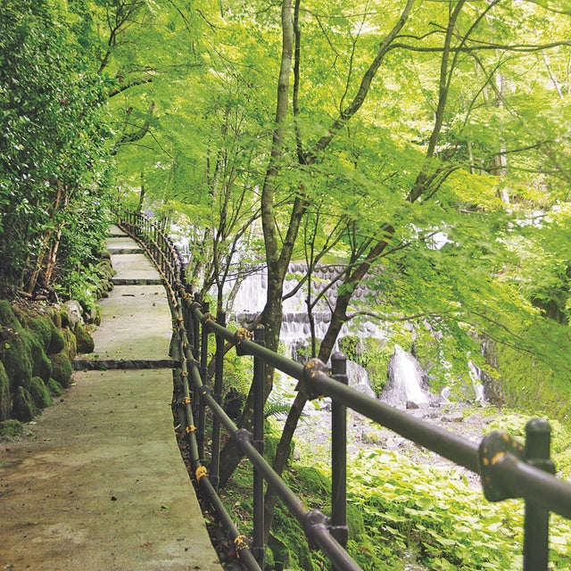 神奈川/海石榴つばき/ペア1泊2食付（着付体験または生け花体験付）