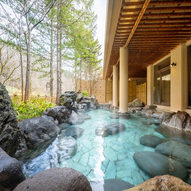 秋田/縄文のふる里 大湯温泉 ホテル鹿角/【おひとりさまプラン】1泊2食付