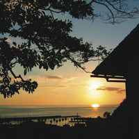 静岡/森の入り江の離れ宿無雙庵枇杷/【おひとりさまプラン】1名様1泊2食付