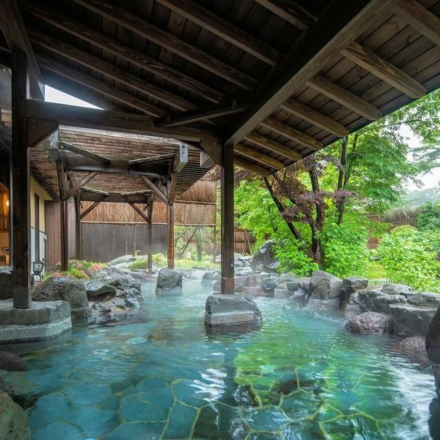 群馬/源泉湯の宿松乃井/2名様 日帰り入浴≪食事なし・お土産付≫