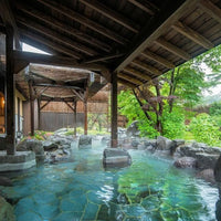 群馬/源泉湯の宿松乃井/2名様 日帰り入浴≪食事なし・お土産付≫