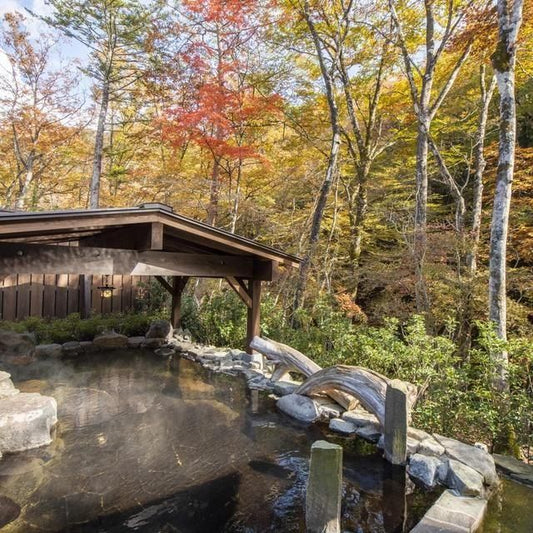 栃木/塩の湯温泉 蓮月（共立リゾート）/ペア1泊2食付