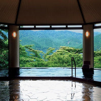 神奈川/絶景日帰り温泉 龍宮殿本館/【平日限定】2名様 日帰り入浴≪昼食付≫