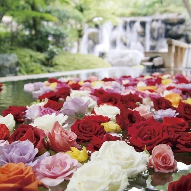 鳥取/三朝館/ペア1泊2食付