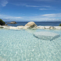 和歌山/浜千鳥の湯 海舟（共立リゾート）/【おひとりさまプラン】1名様1泊2食付