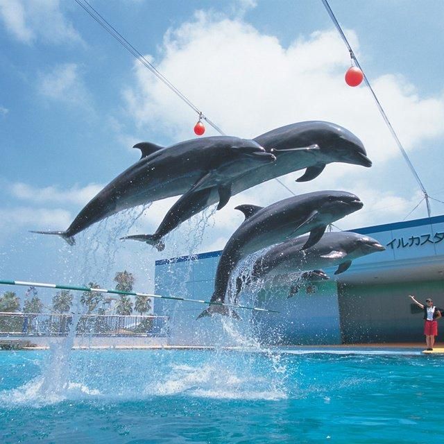 【ワクワクレジャーランド】愛知/南知多ビーチランド＆南知多おもちゃ王国/2名様 入園プラン☆2026年９月30日までの利用限定！