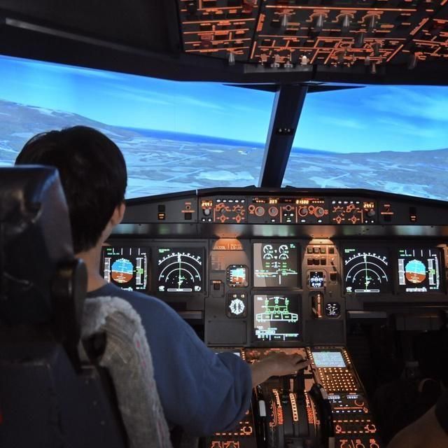 東京/LUXURY FLIGHT 羽田空港本店/1名様 フライトシミュレーター体験