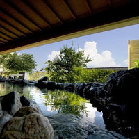 熊本/清流山水花あゆの里/ペア1泊2食付