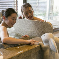 島根/お宿 月夜のうさぎ（共立リゾート）/ペア1泊2食付