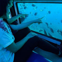 沖縄/ウエストマリン/３名様 ＯＲＣＡ号水中観光クルーズ