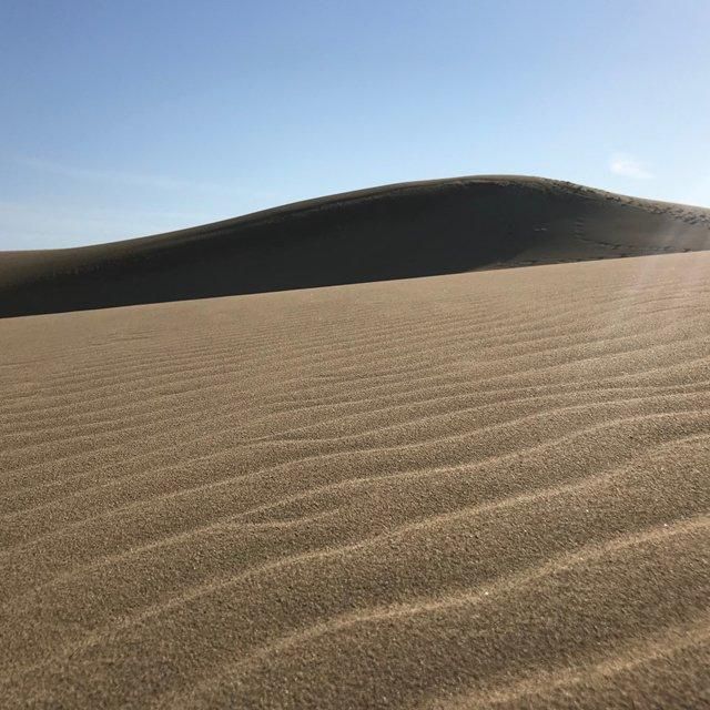 鳥取/砂丘会館/2名様 ランチプラン