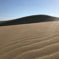 鳥取/砂丘会館/2名様 ランチプラン